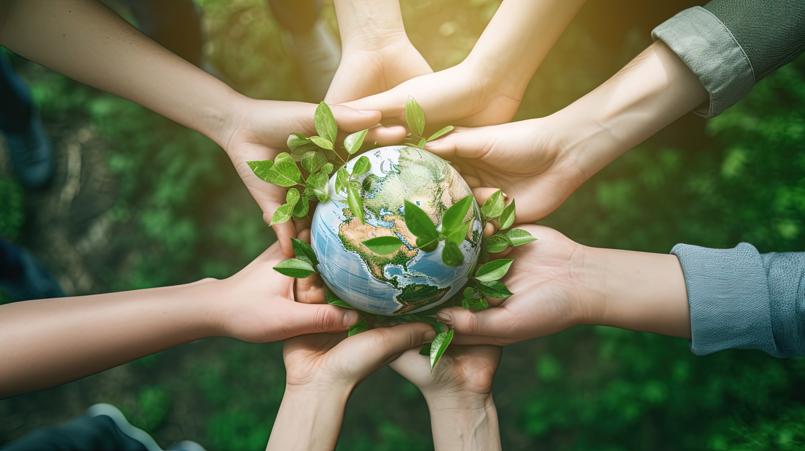 Italian startups with significant social and environmental impact ...